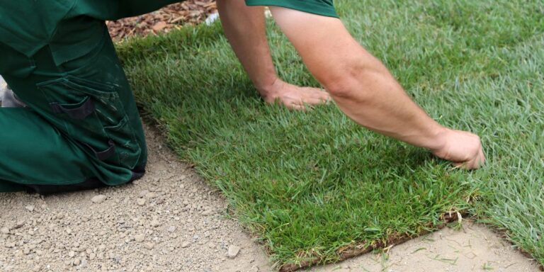 Why Artificial Turf Continues to Shape Modern Landscape Design